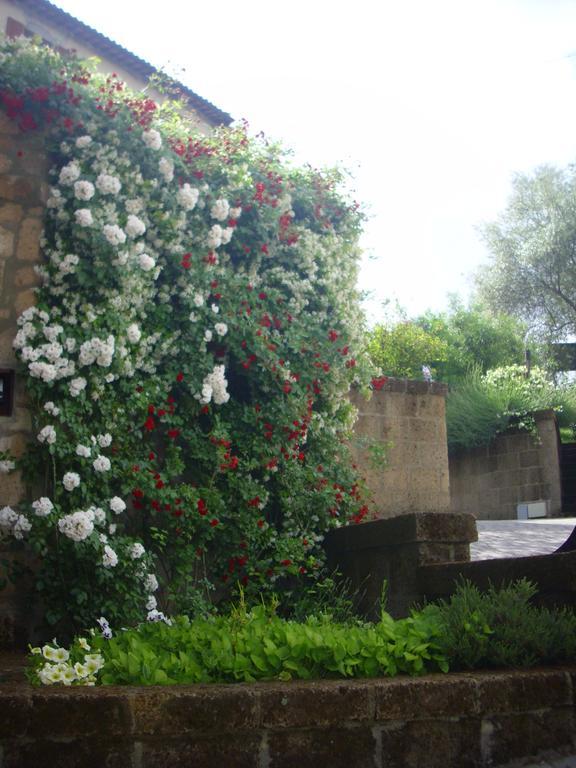 Chiara E Benedetta Villa Degli Ulivi Orvieto Exteriör bild