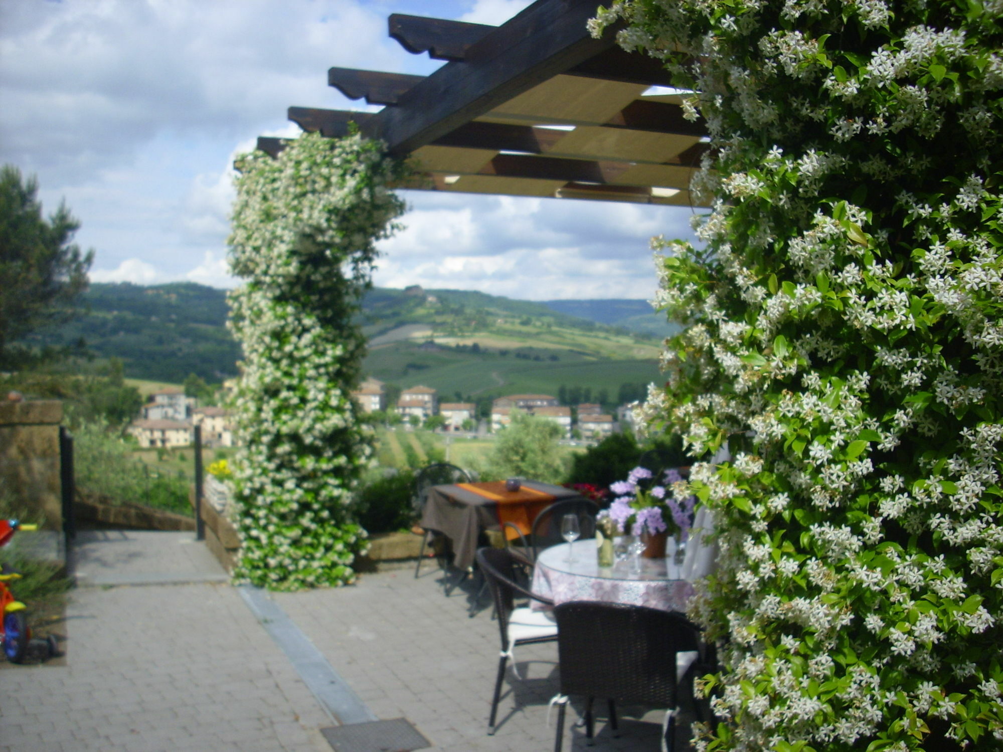 Chiara E Benedetta Villa Degli Ulivi Orvieto Exteriör bild